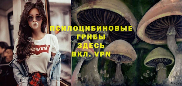 кокс Баксан