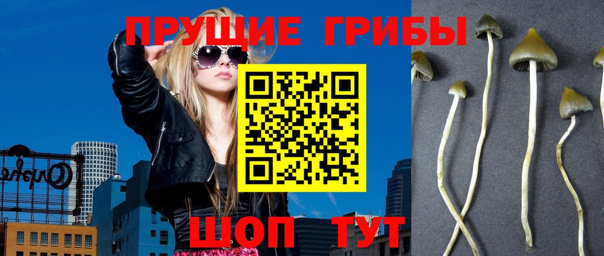 даркнет сайт  Псилоцибиновые грибы Psilocybe  Галлюциногенные грибы GOLDEN TEACHER  Вход с VPN  Лыткарино 