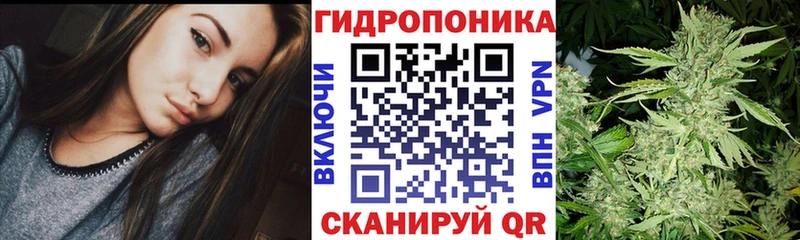 Бошки марихуана White Widow  MEGA как войти  Лыткарино 